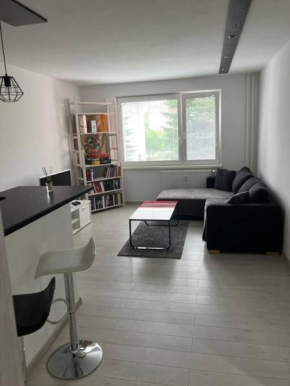 Moderný apartmán Podbreziny